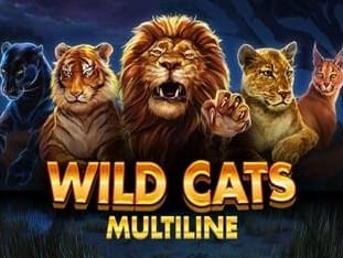 Wild Cats Multiline thumbnail